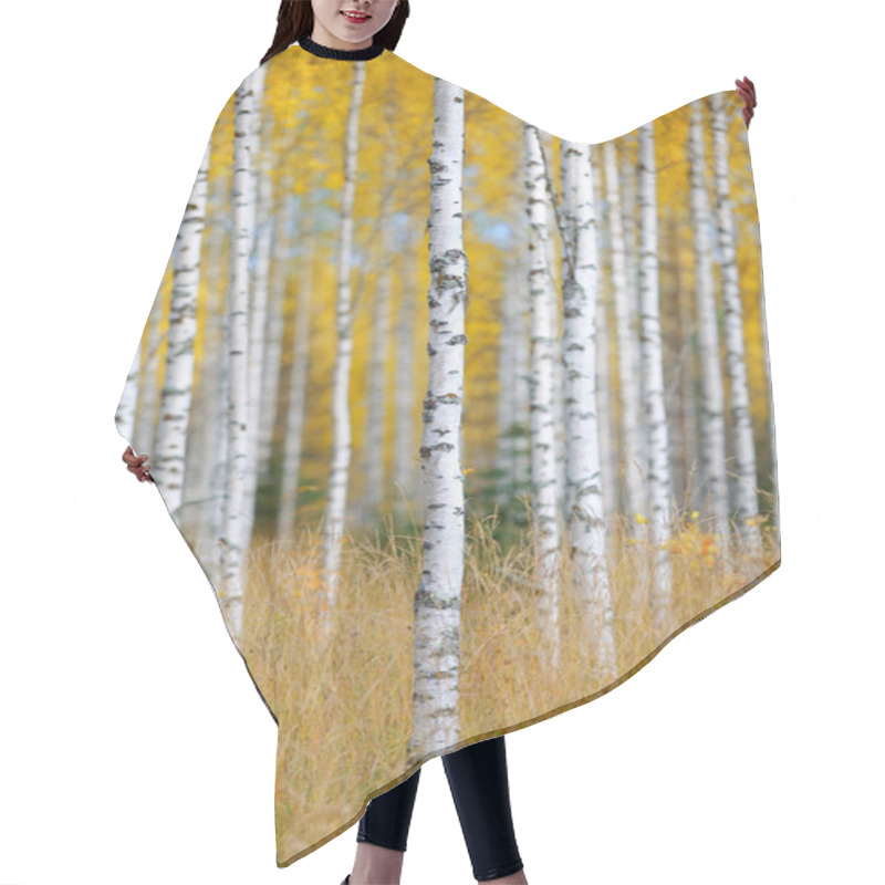 Personality  Autumn Forest And Birch Trees Hair Cutting Cape