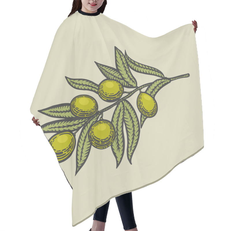 Personality  Olive Branch Engraving Style Vector Hair Cutting Cape