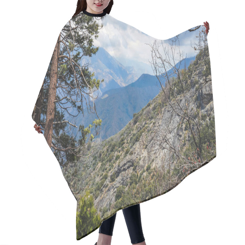 Personality  Mountain Serpentine In Sequoia National Park, California, USA Hair Cutting Cape