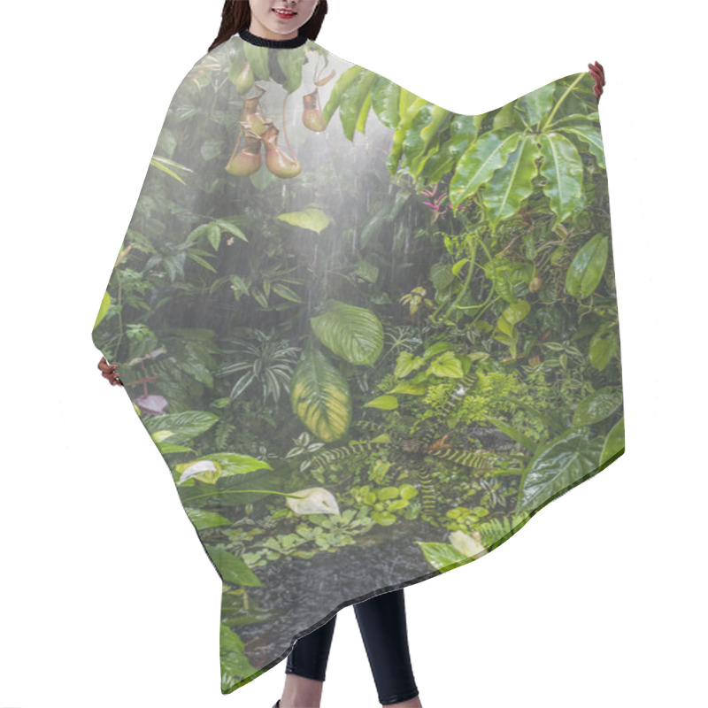 Personality  Tropical Rain Forest Hair Cutting Cape