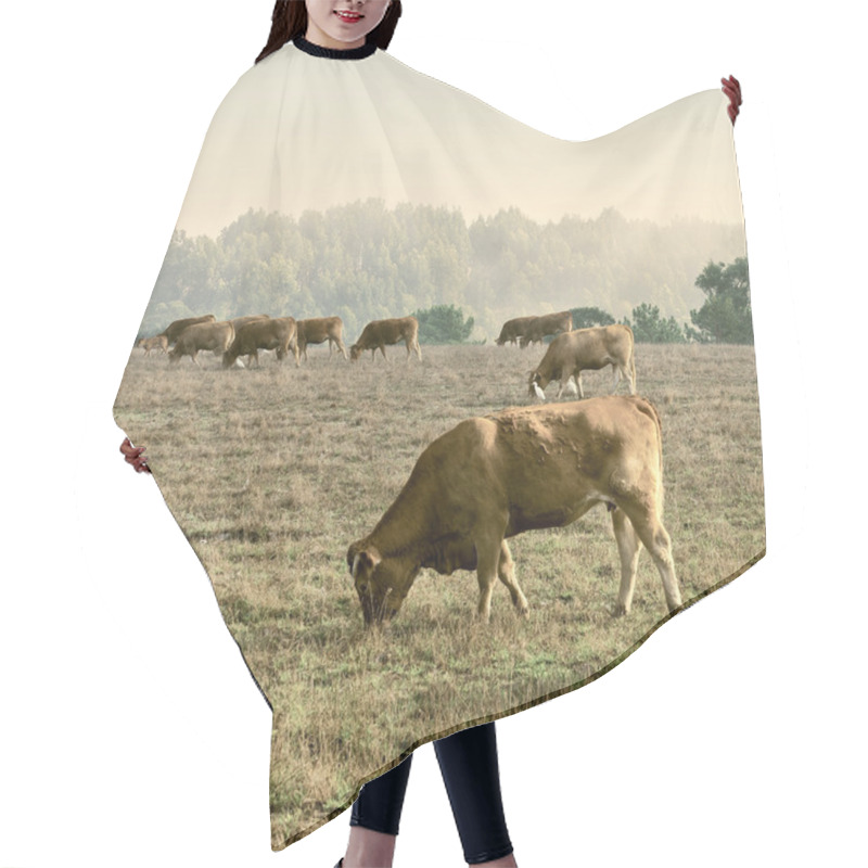 Personality  Cows And Bulls Hair Cutting Cape