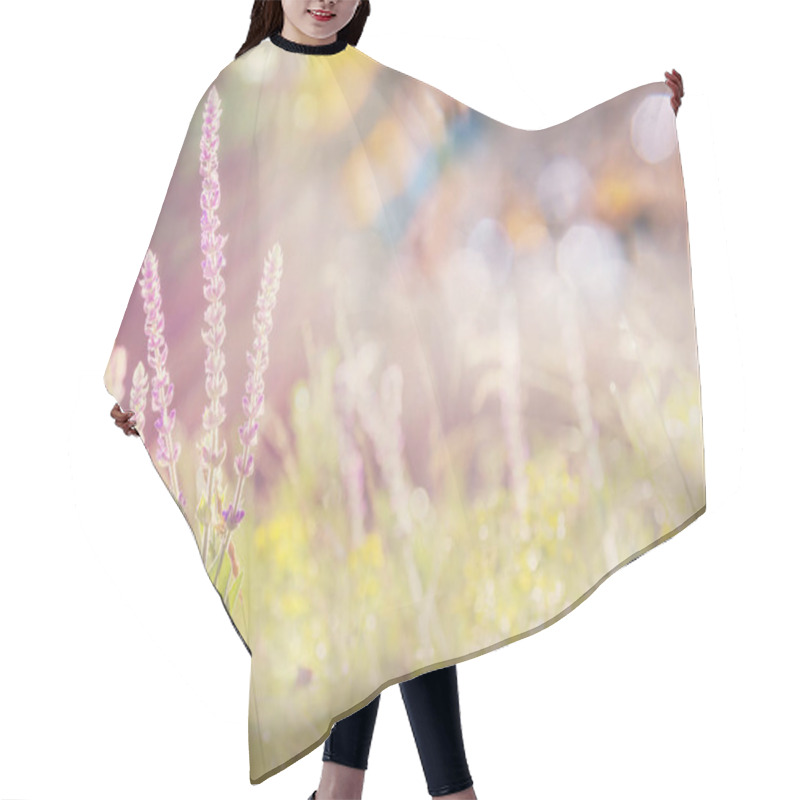 Personality  Sunny Day On The Flowers Meadow. Beautiful Natural Background. Hair Cutting Cape