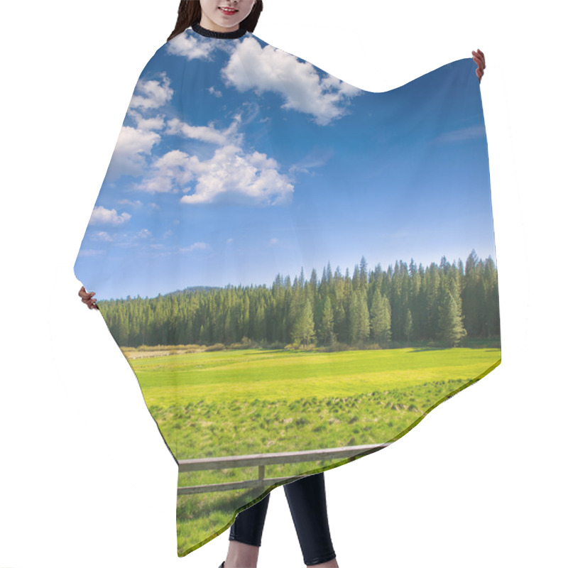 Personality  Yosemite Meadows And Forest In California Hair Cutting Cape