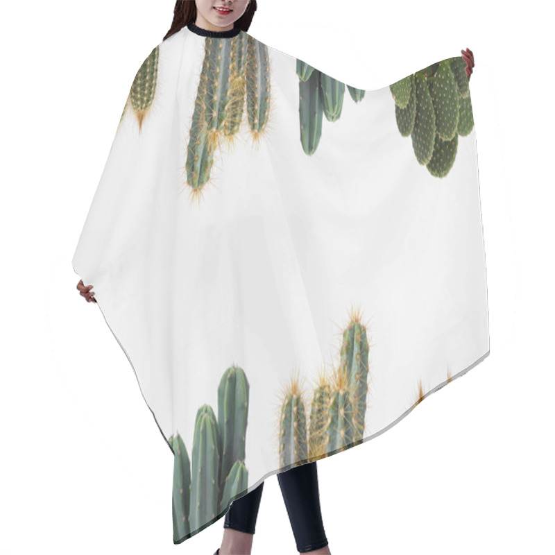 Personality  Cactus Plant Close Up On White Background Hair Cutting Cape