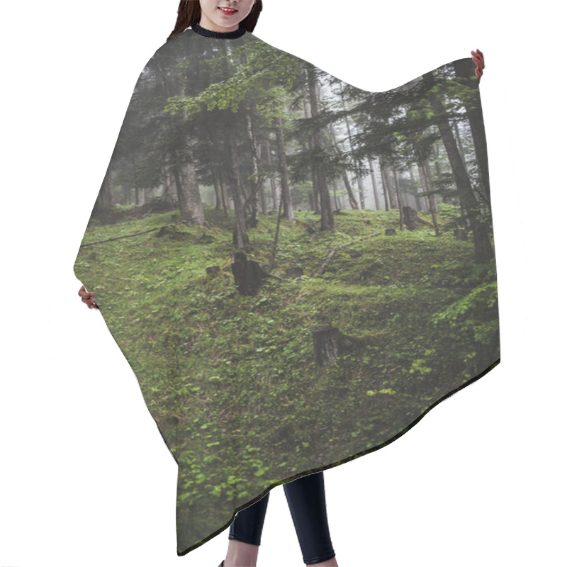 Personality  Mountain Forest In Misty Weather Hair Cutting Cape