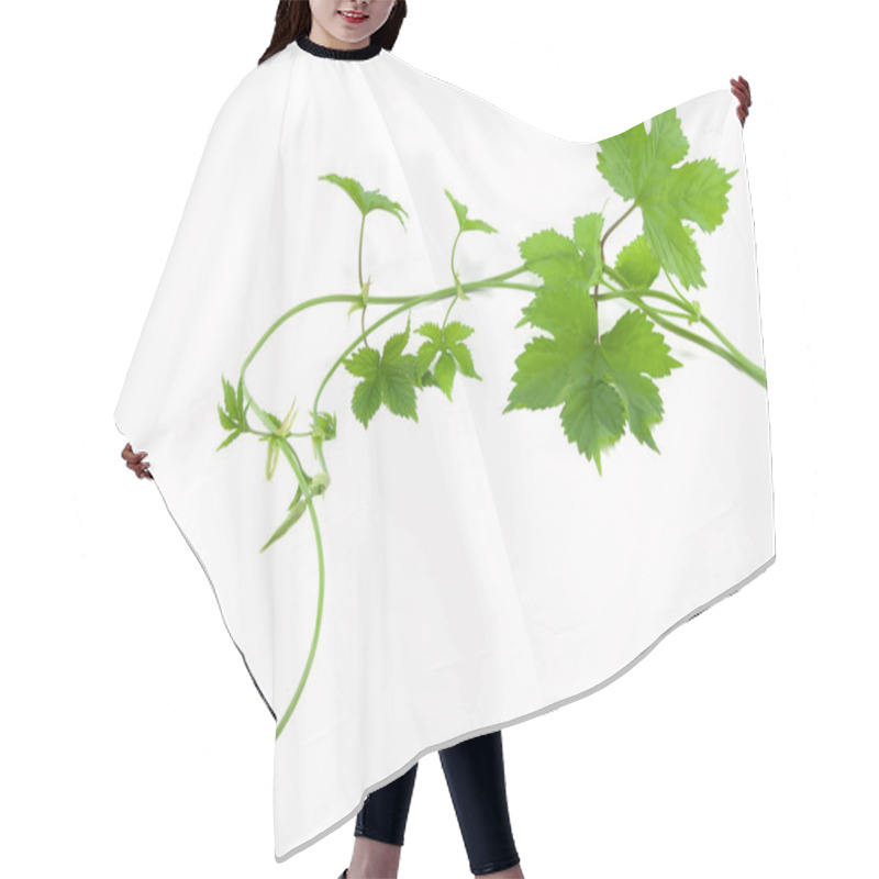 Personality  Fresh Green Branch Hair Cutting Cape