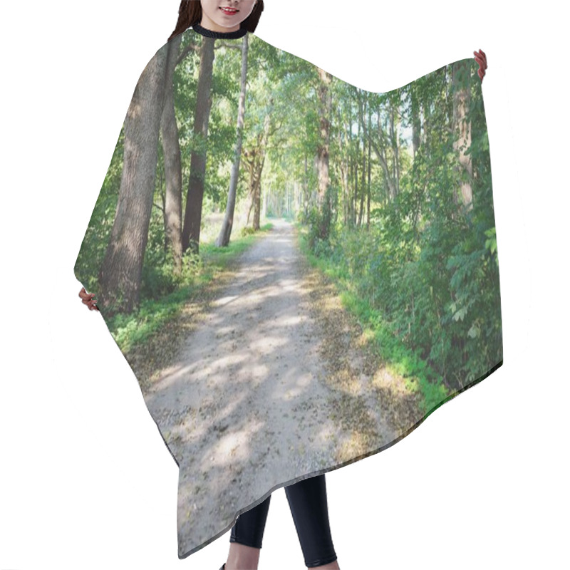 Personality  Rural Road (alley) Through The Deciduous Trees, Natural Tunnel. Old Tree Trunks And Green Leaves Close-up. Sunlight, Shadows On The Ground. Ecology, Tourism, Environment, Nordic Walking, Recreation Hair Cutting Cape