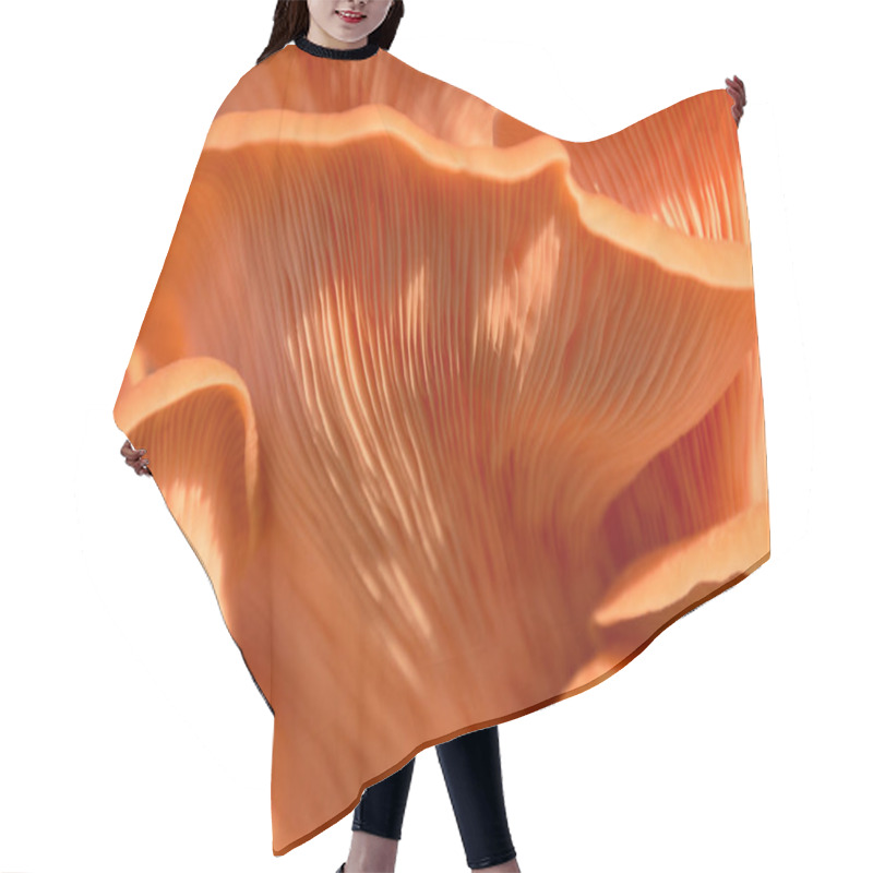 Personality  Goergous Fresh Pink Oyster Gourmet Edible Mushrooms Background Hair Cutting Cape