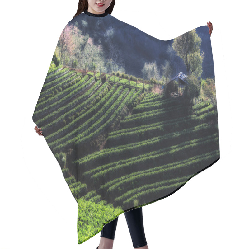 Personality  Strawberry Field Hair Cutting Cape