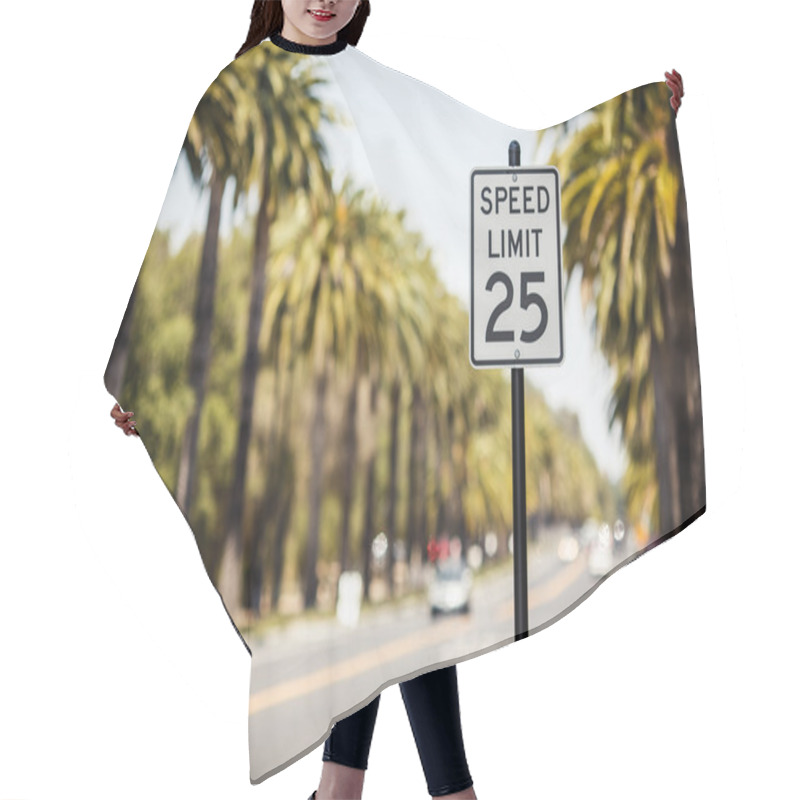 Personality  Speed Limit 25 Sign Hair Cutting Cape