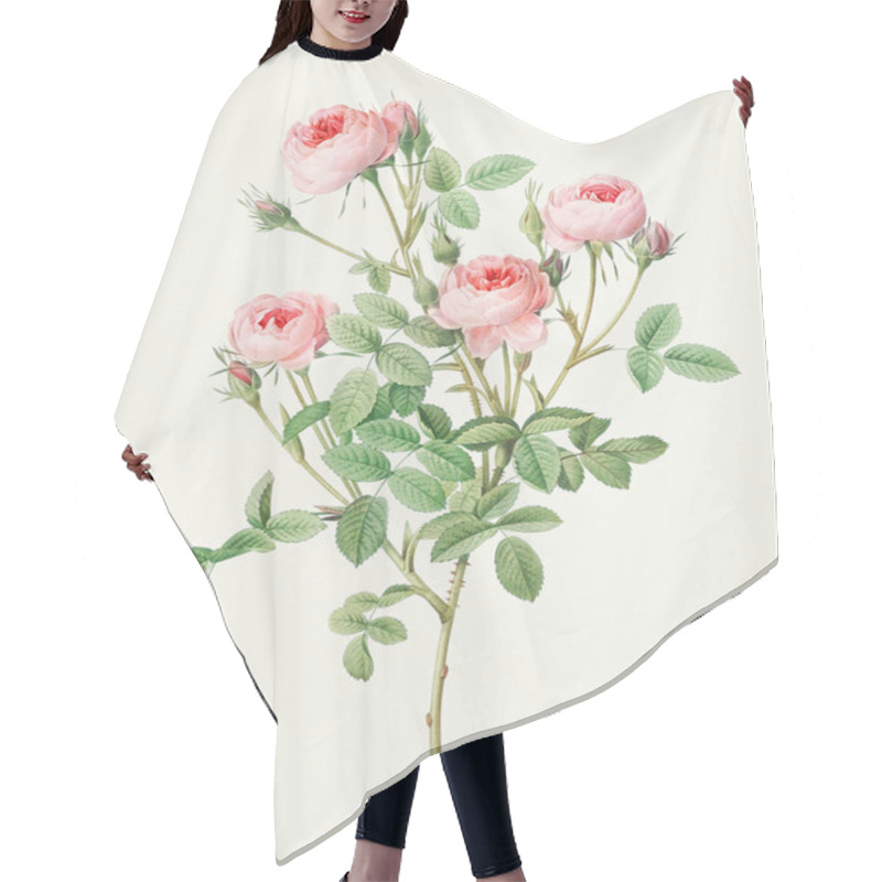 Personality  Beautiful Rose Flower Illustration. Burgundian Rose Hair Cutting Cape