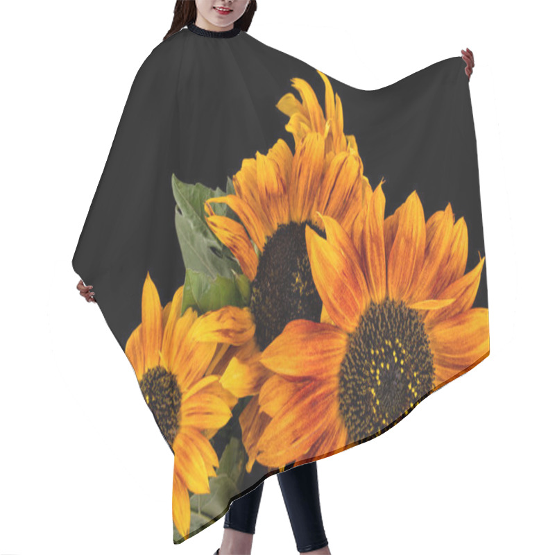 Personality  Beautiful Brown Sunflowers On Black Background Hair Cutting Cape