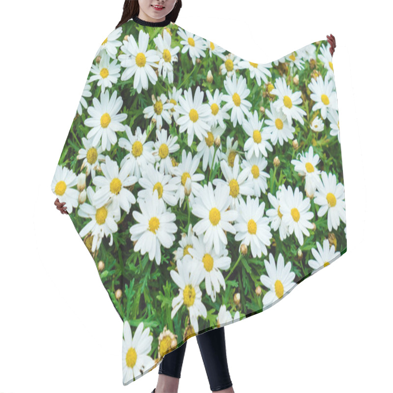 Personality  Beautiful Daisy Flowers Hair Cutting Cape