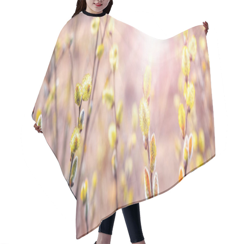 Personality  Willow Branches With Fluffy Catkins In The Forest On A Blurred Background Hair Cutting Cape