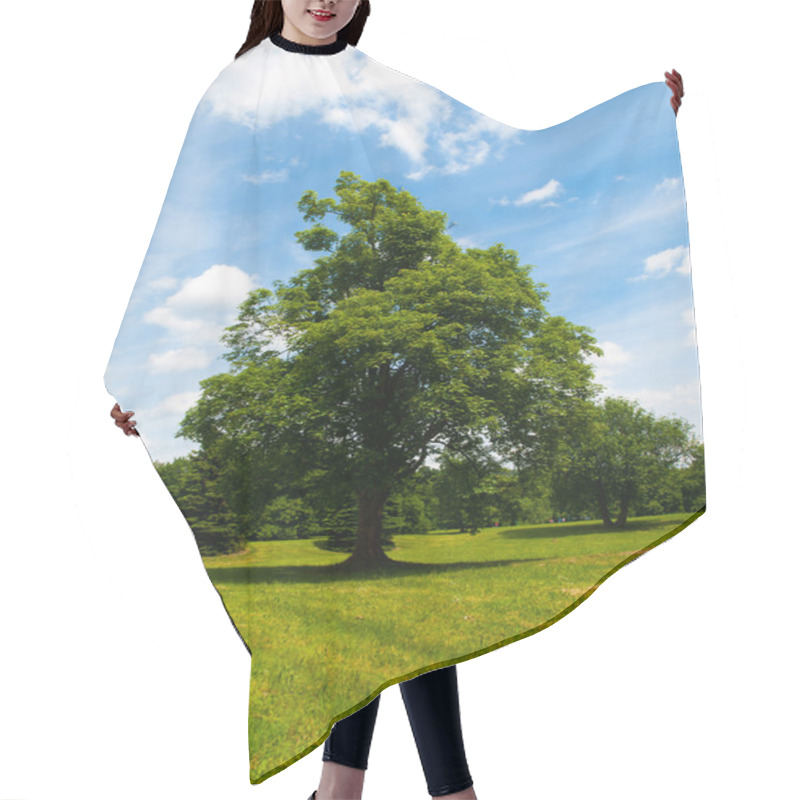 Personality  Green Tree In A Meadow Hair Cutting Cape