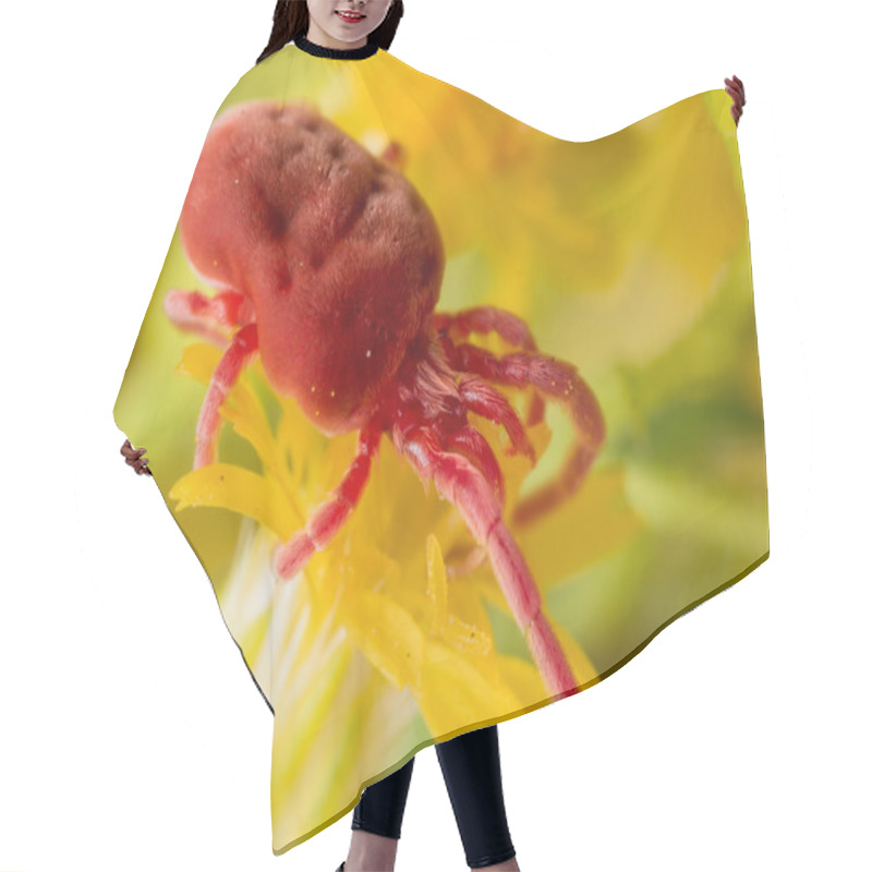 Personality  Bright Red Rev Velvet Mite On Yellow Flower Hair Cutting Cape