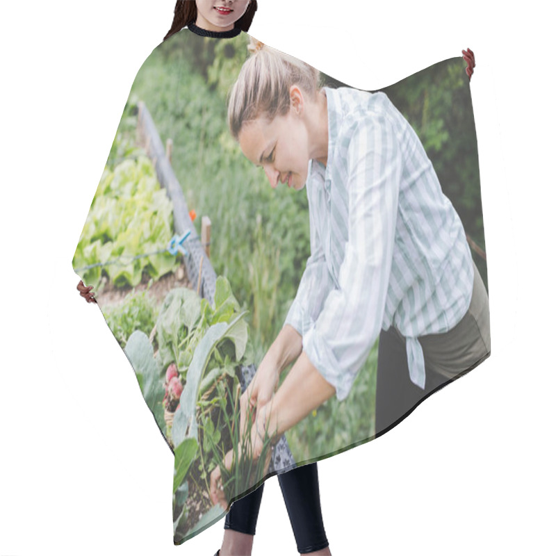 Personality  Young Woman Harvesting Radish From Raised Bed In Garden Hair Cutting Cape