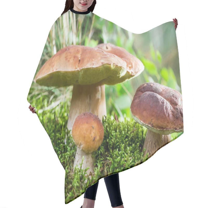 Personality  Boletus Mushrooms On Moss At Dawn In The Forest Hair Cutting Cape