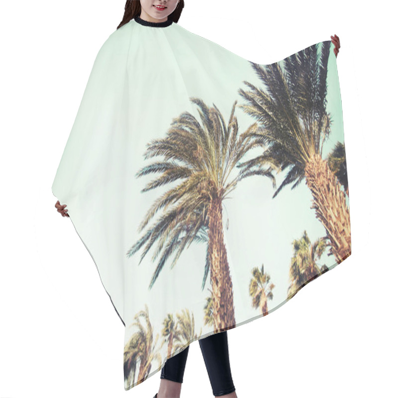 Personality  Scenic View Of Beautiful Palm Leaves Against Sky Hair Cutting Cape