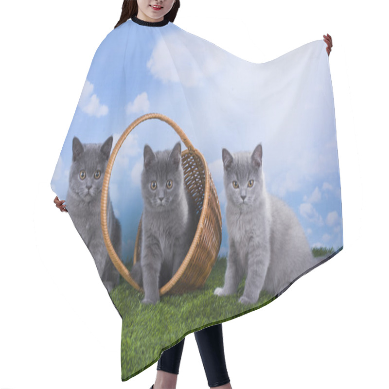 Personality  Kittens Playing In The Grass On A Sunny Summer Day Hair Cutting Cape