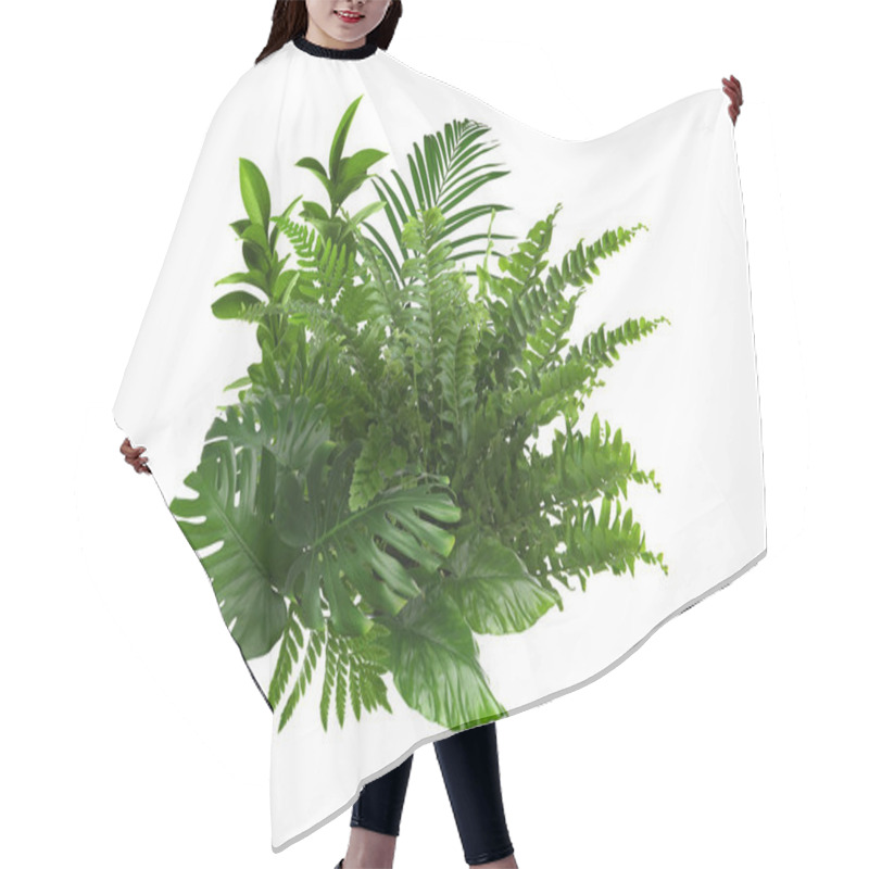 Personality  Beautiful Composition With Fern And Other Tropical Leaves On White Background. Hair Cutting Cape