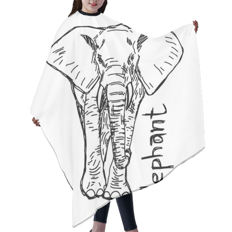 Personality  Elephant - Vector Illustration Sketch Hand Drawn With Black Lines, Isolated On White Background Hair Cutting Cape