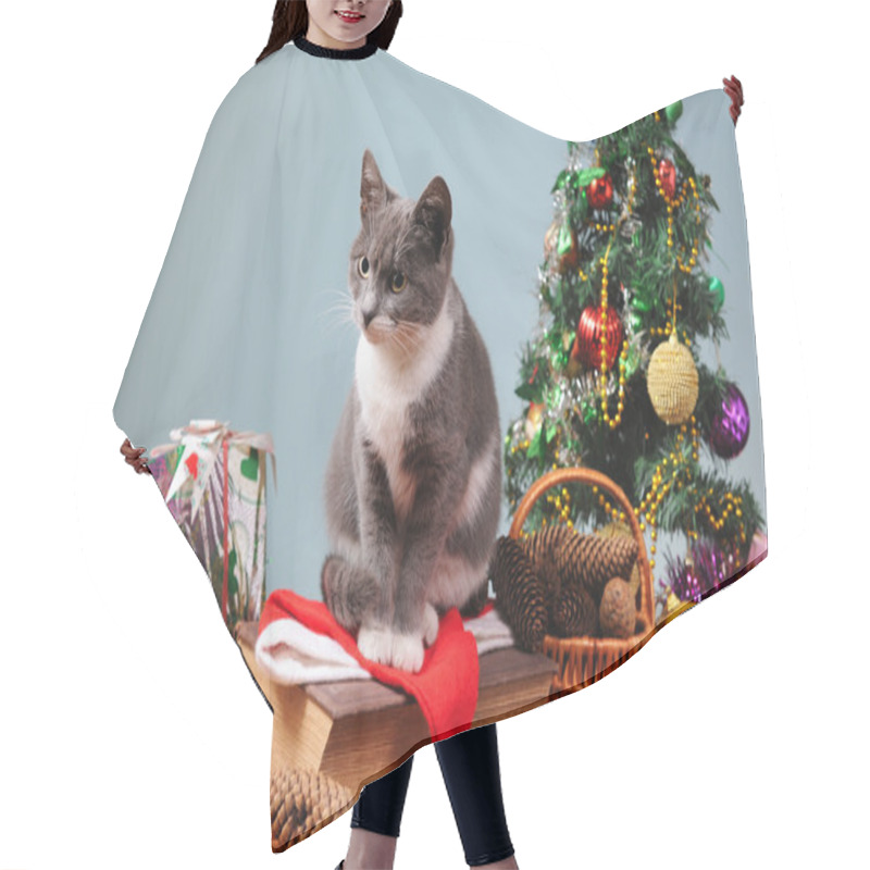 Personality  New Year's Decoration And The Cat Hair Cutting Cape