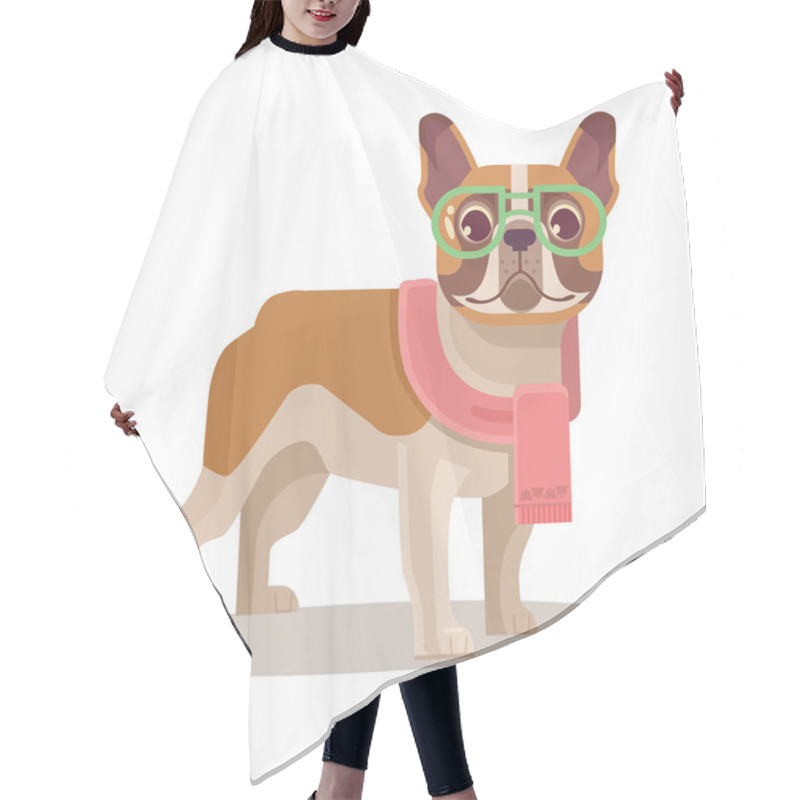 Personality  French Bulldog. Vector Flat Cartoon Illustration Hair Cutting Cape