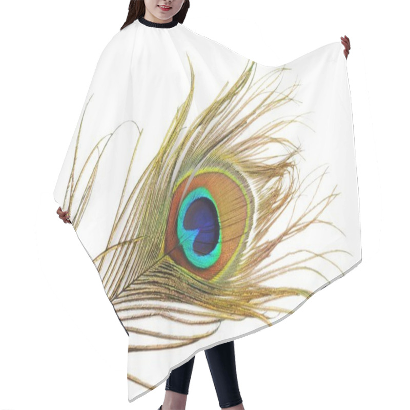 Personality  Peacock Feather Hair Cutting Cape