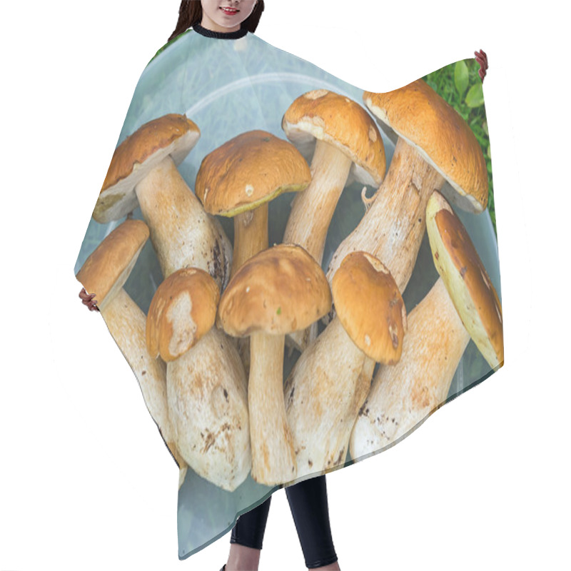 Personality  Fresh White Mushrooms (Boletus Edulis) On A Tray Hair Cutting Cape