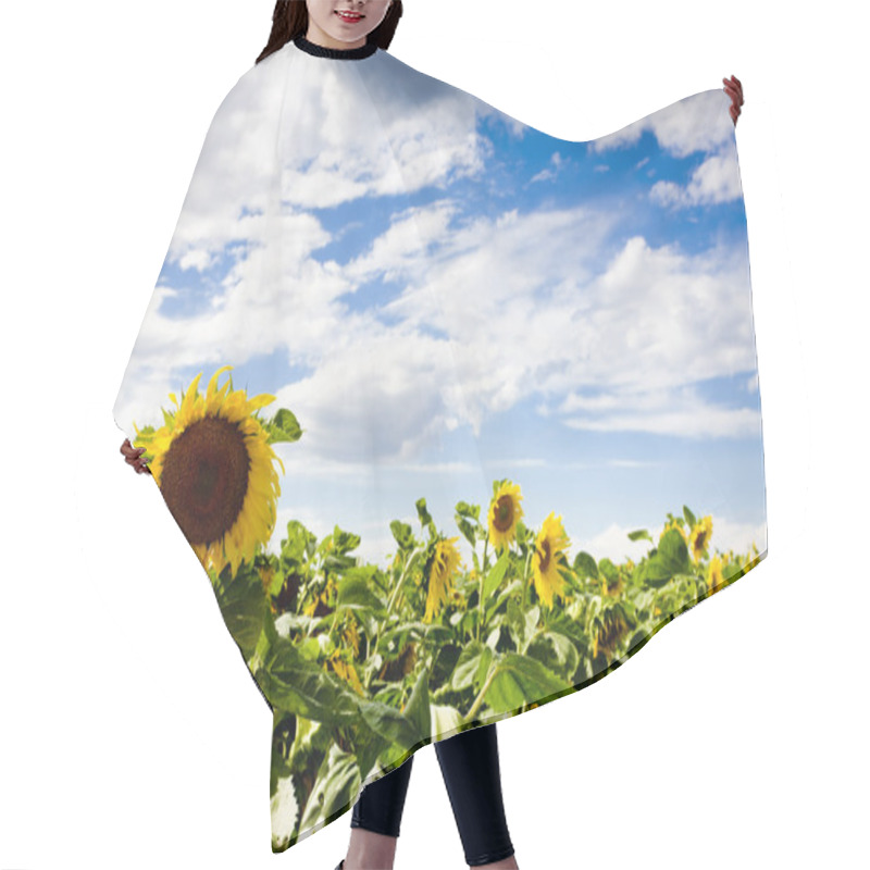 Personality  Sunflowers Hair Cutting Cape