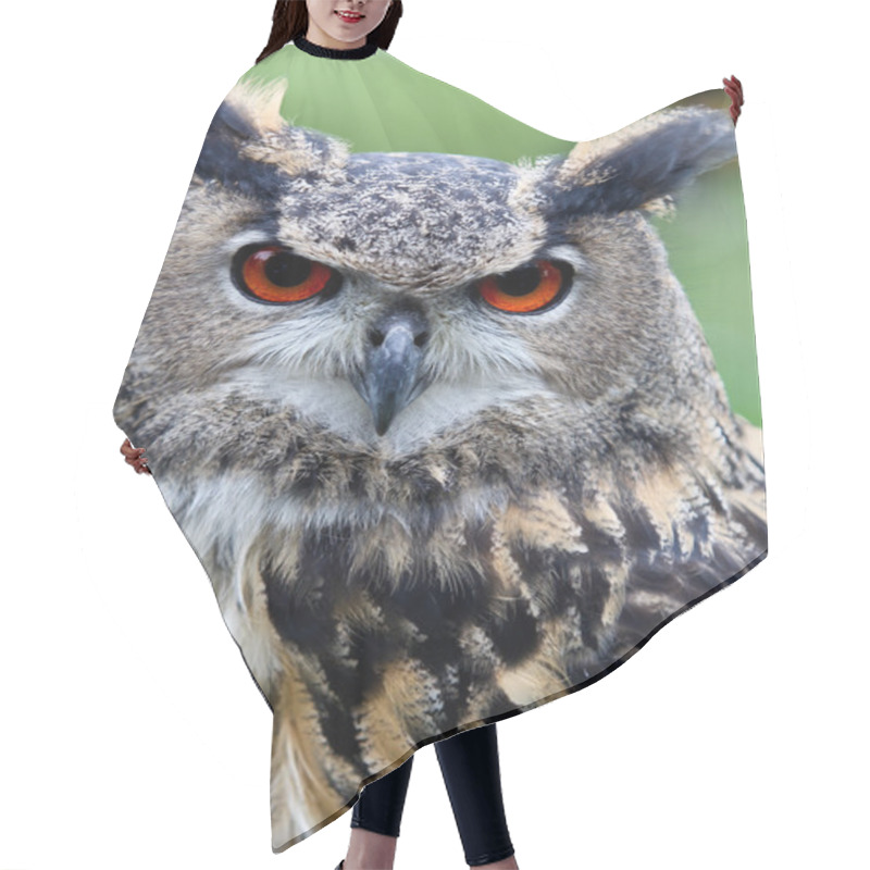 Personality  Owl Portrait Hair Cutting Cape