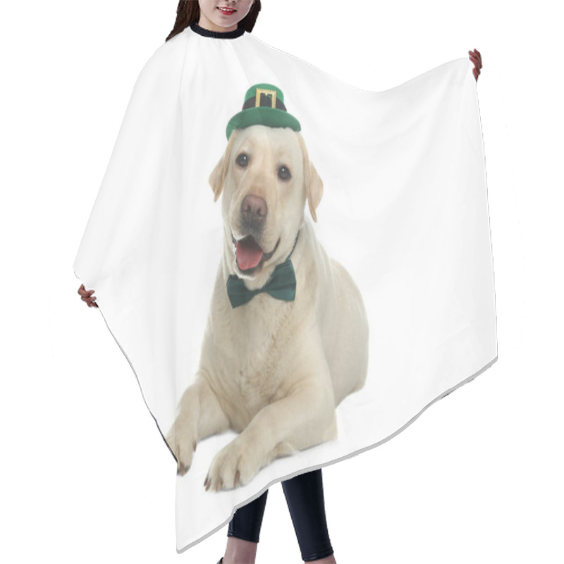 Personality  Labrador Retriever With Leprechaun Hat And Bow Tie On White Background. St. Patrick's Day Hair Cutting Cape