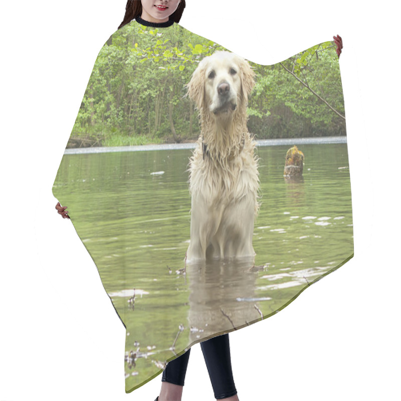 Personality  Golden Retriever Playing In The Water Hair Cutting Cape