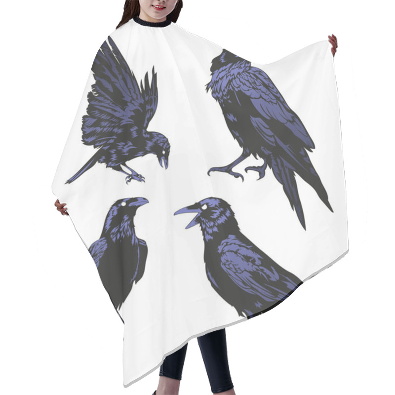 Personality  Crow Vector Set, Raven Vector Set Hair Cutting Cape