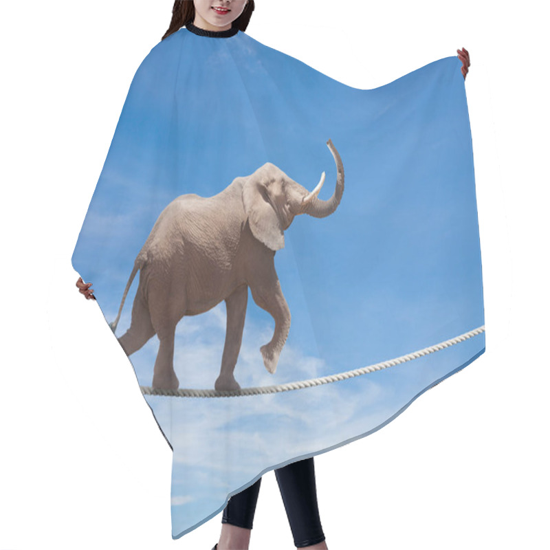 Personality  Elephant Acrobat Walking On The Wire Cord Hair Cutting Cape