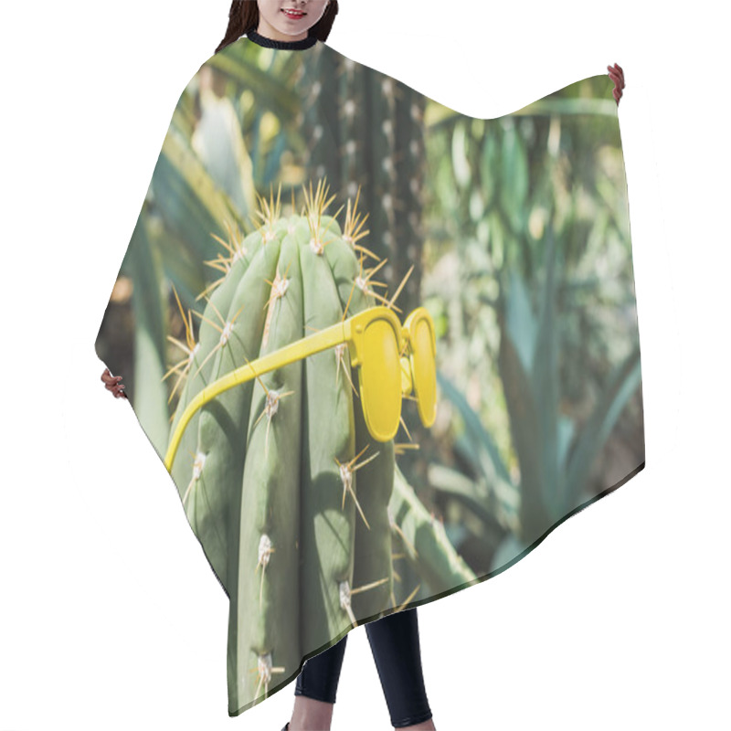 Personality  Close-up View Of Beautiful Green Cactus With Yellow Sunglasses   Hair Cutting Cape