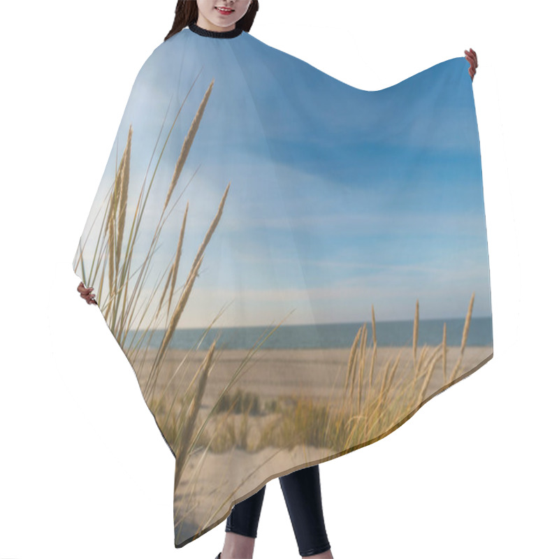 Personality  Beautiful Baltic Sea Coastline, Dunes And Sand In Winter. Hair Cutting Cape