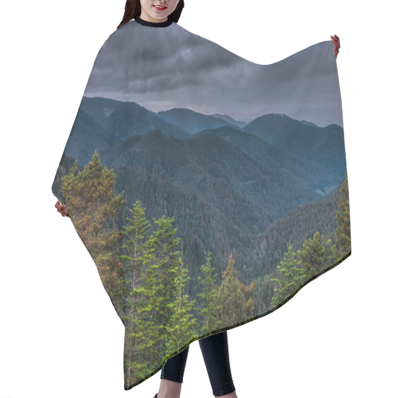 Personality  Spring In The Black Forest Hair Cutting Cape