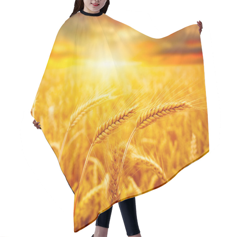 Personality  Field Of Wheat Hair Cutting Cape