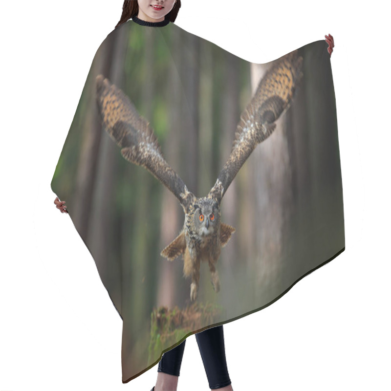 Personality  Flying Eurasian Eagle Owl  Hair Cutting Cape