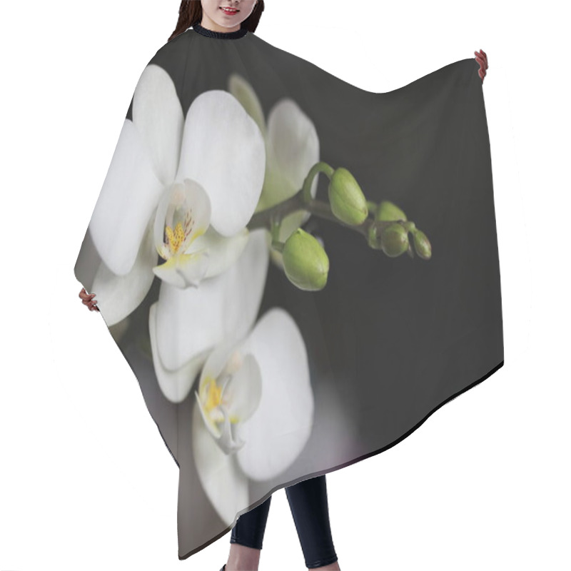 Personality  Orchid Flowers In The Garden Hair Cutting Cape