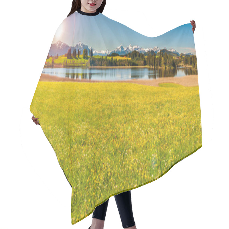 Personality  Panoramic Landscape With Alps Mountain Range At Springtime Hair Cutting Cape