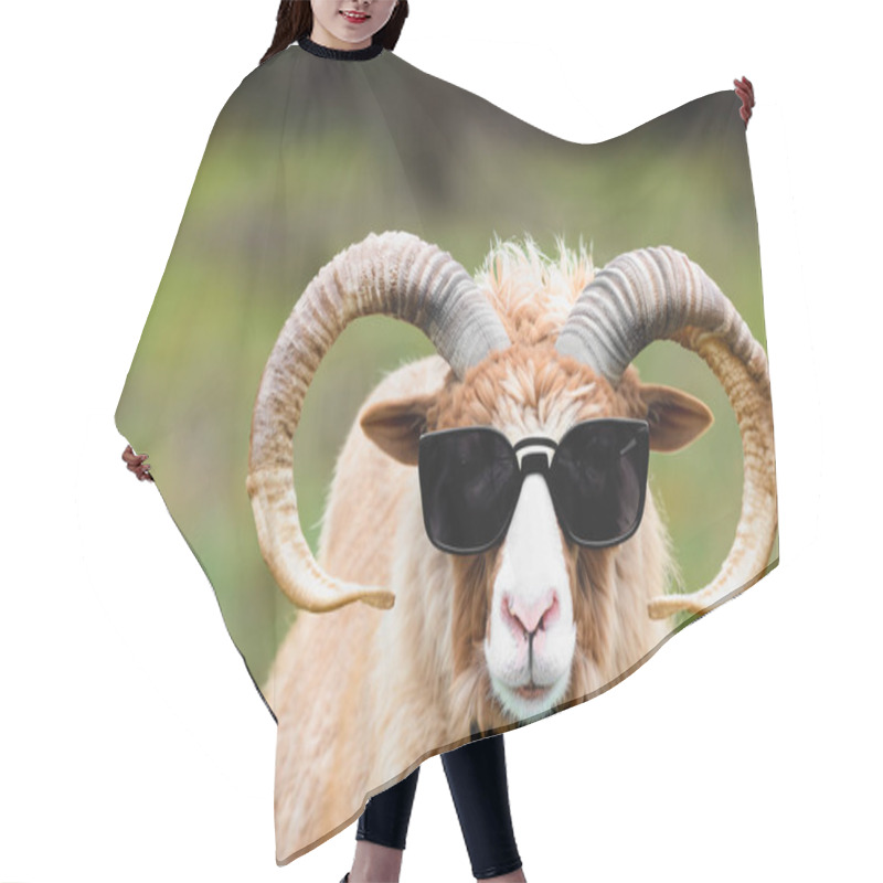 Personality  A Ram In Sunglasses And A Tie. Cheerful Portrait Of A Ram In Glasses, Copy Space Hair Cutting Cape