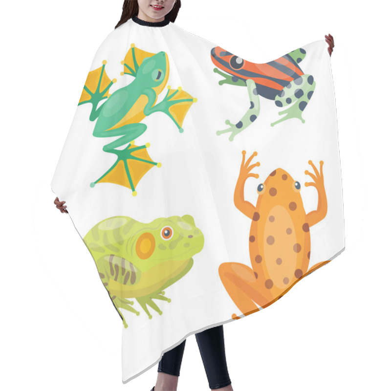 Personality  Frog Cartoon Tropical Animal Cartoon Nature Icon Funny And Isolated Mascot Character Wild Funny Forest Toad Amphibian Vector Illustration. Hair Cutting Cape