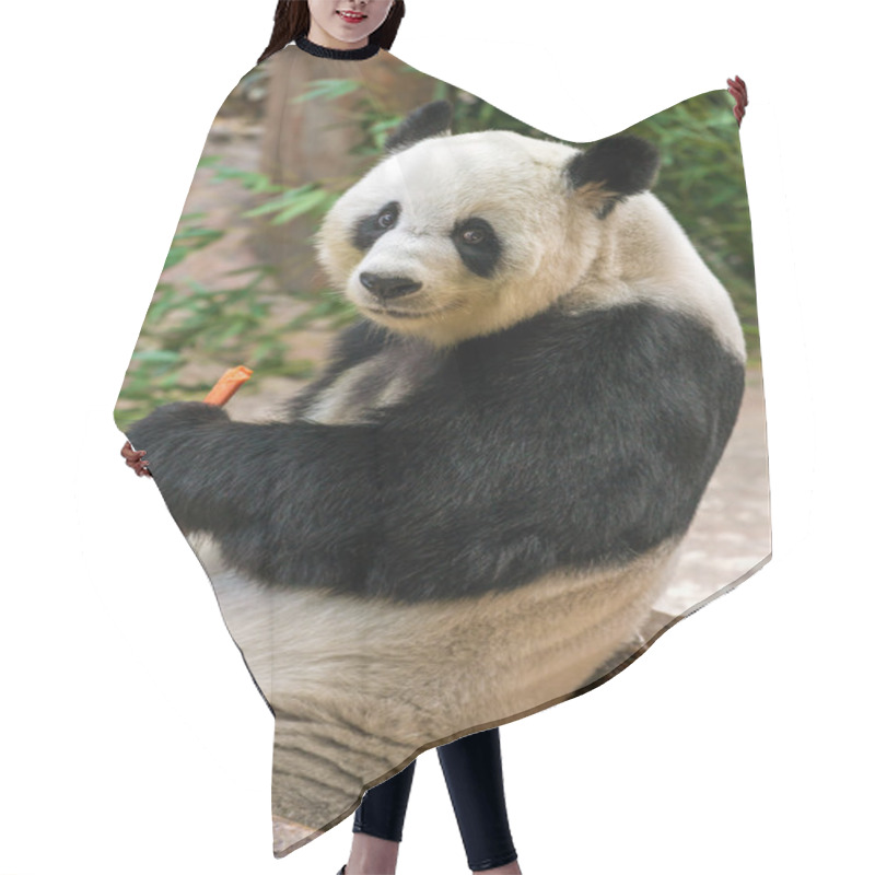 Personality  Giant Panda Eating Bamboo Hair Cutting Cape