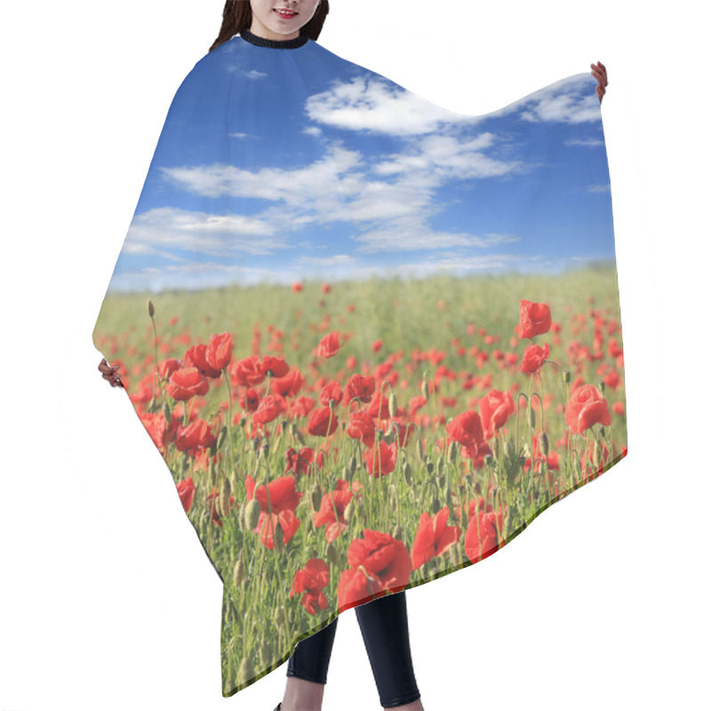 Personality  Nice Red Poppy Flower Meadow In Summer Day Hair Cutting Cape