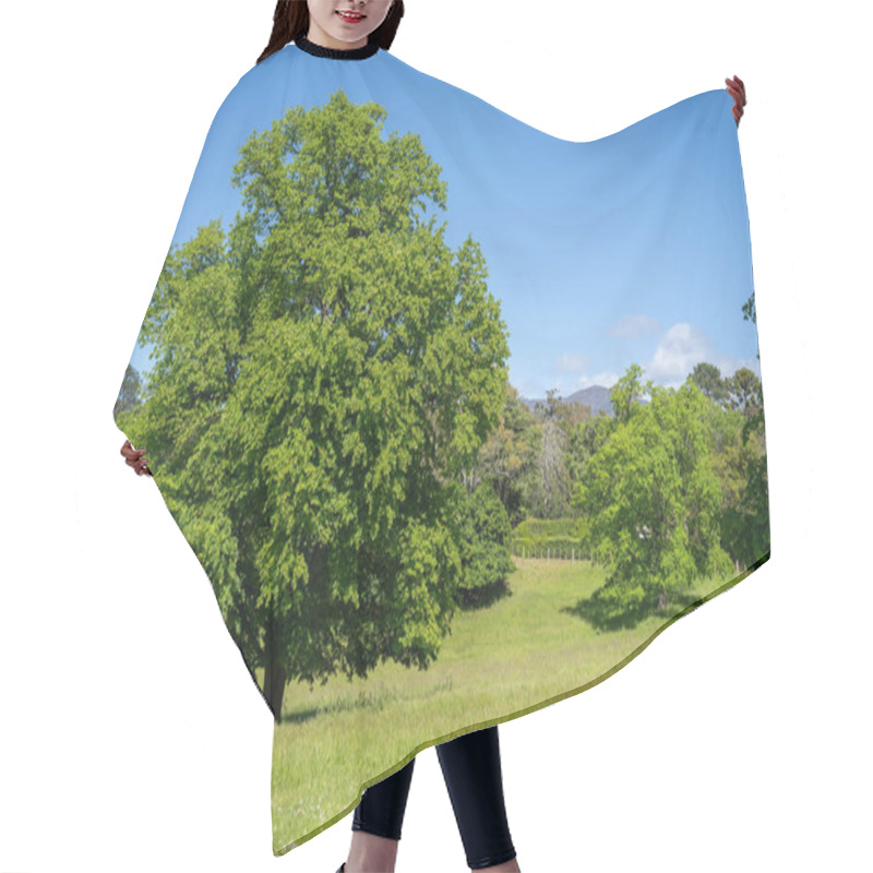 Personality  Trees In A Meadow On A Farm In A Country Estate On A Farm In Spring Hair Cutting Cape