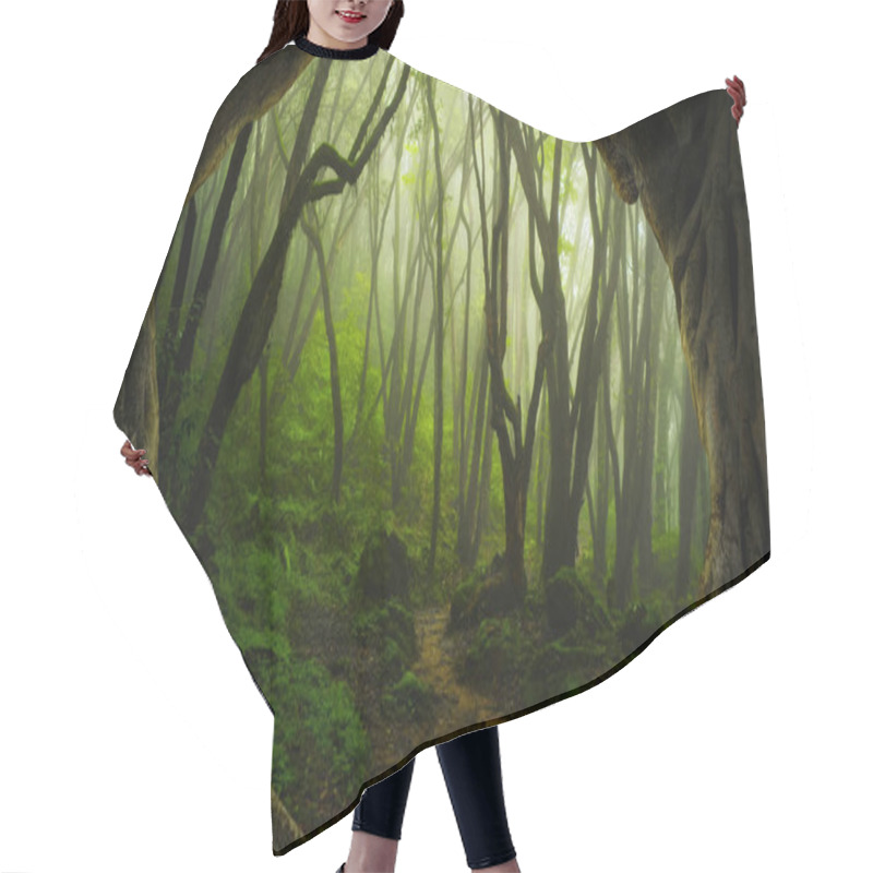 Personality  Asian Rainforest Jungle In August Hair Cutting Cape