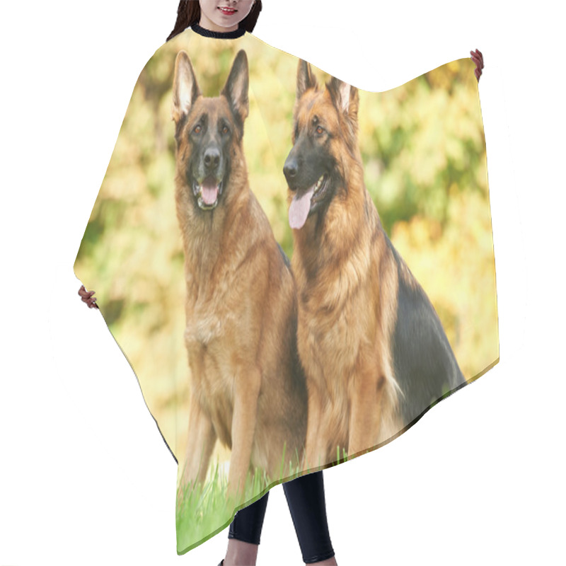 Personality  Two German Shepherd Dog Hair Cutting Cape